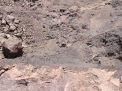 گزارش تصویری از بازدید  کارگاه آموزشی متالوژنی ایران؛ با موضوع تخصصی متالوژنی کانسارهای مس ایران- از معدن و کارخانه مس عباس آباد- 7 خرداد